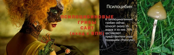 гашик Красноперекопск