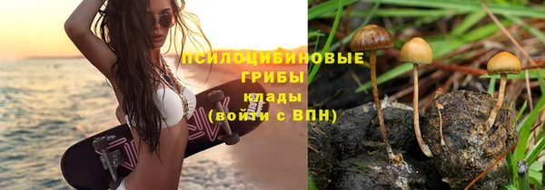 ГАЛЛЮЦИНОГЕННЫЕ ГРИБЫ Яранск
