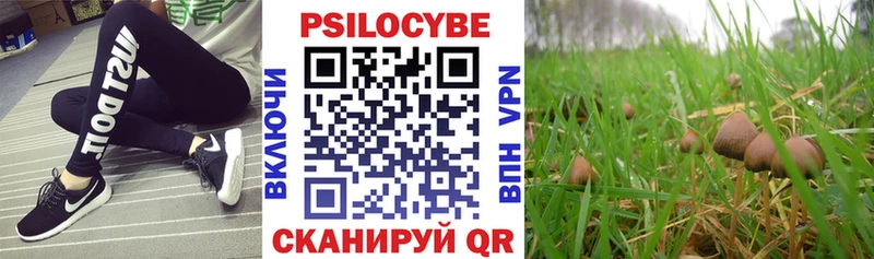 Галлюциногенные грибы Psilocybe где можно купить наркотик Новое Девяткино